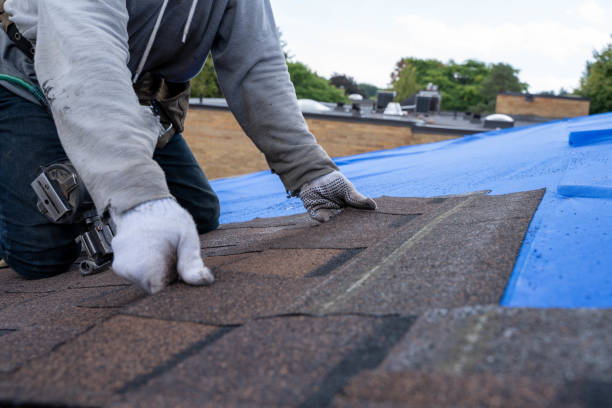 Quick and Trustworthy Emergency Roof Repair Services in Fox River Grove, IL