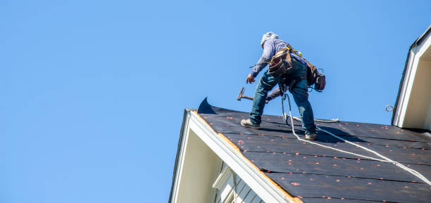 Best Local Roofing Companies  in Fox River Grove, IL