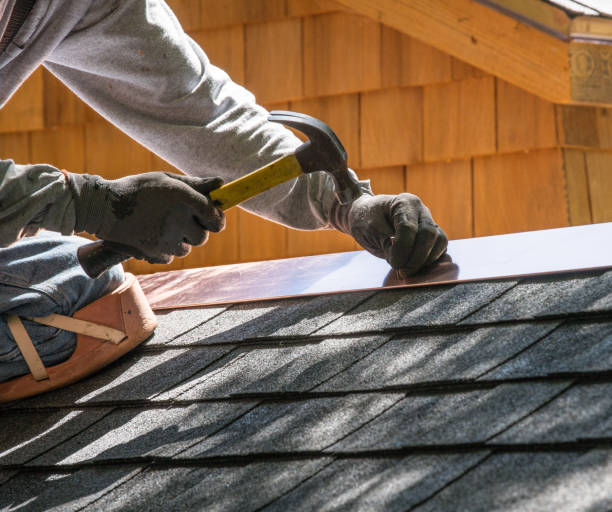 Best Roof Gutter Cleaning  in Fox River Grove, IL